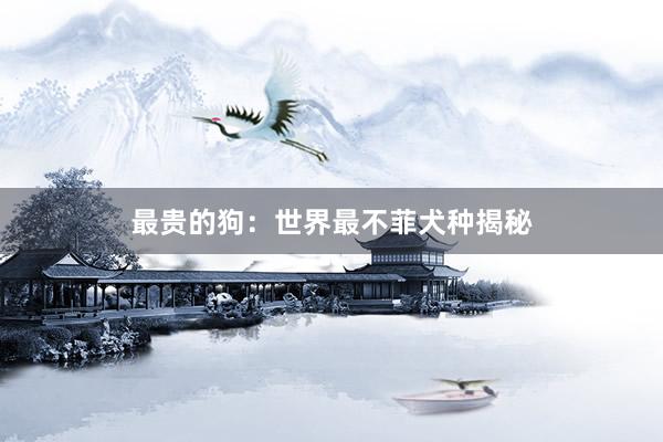 最贵的狗：世界最不菲犬种揭秘