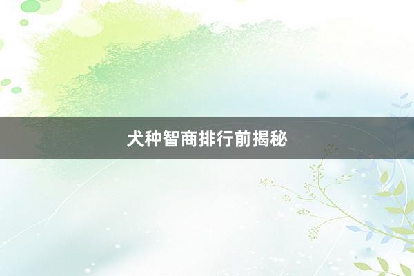 犬种智商排行前揭秘
