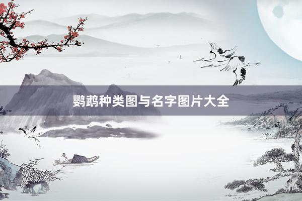 鹦鹉种类图与名字图片大全